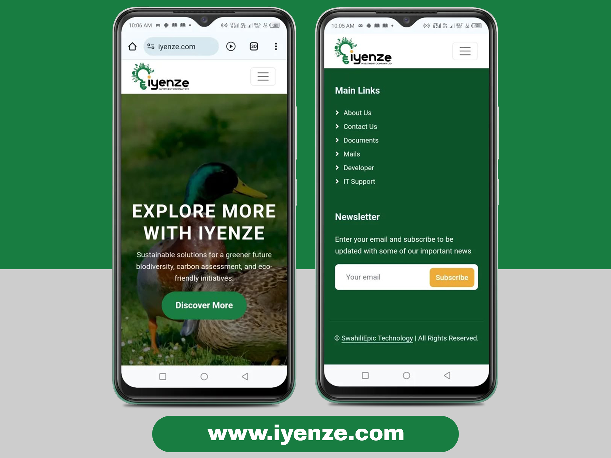 Website Preview