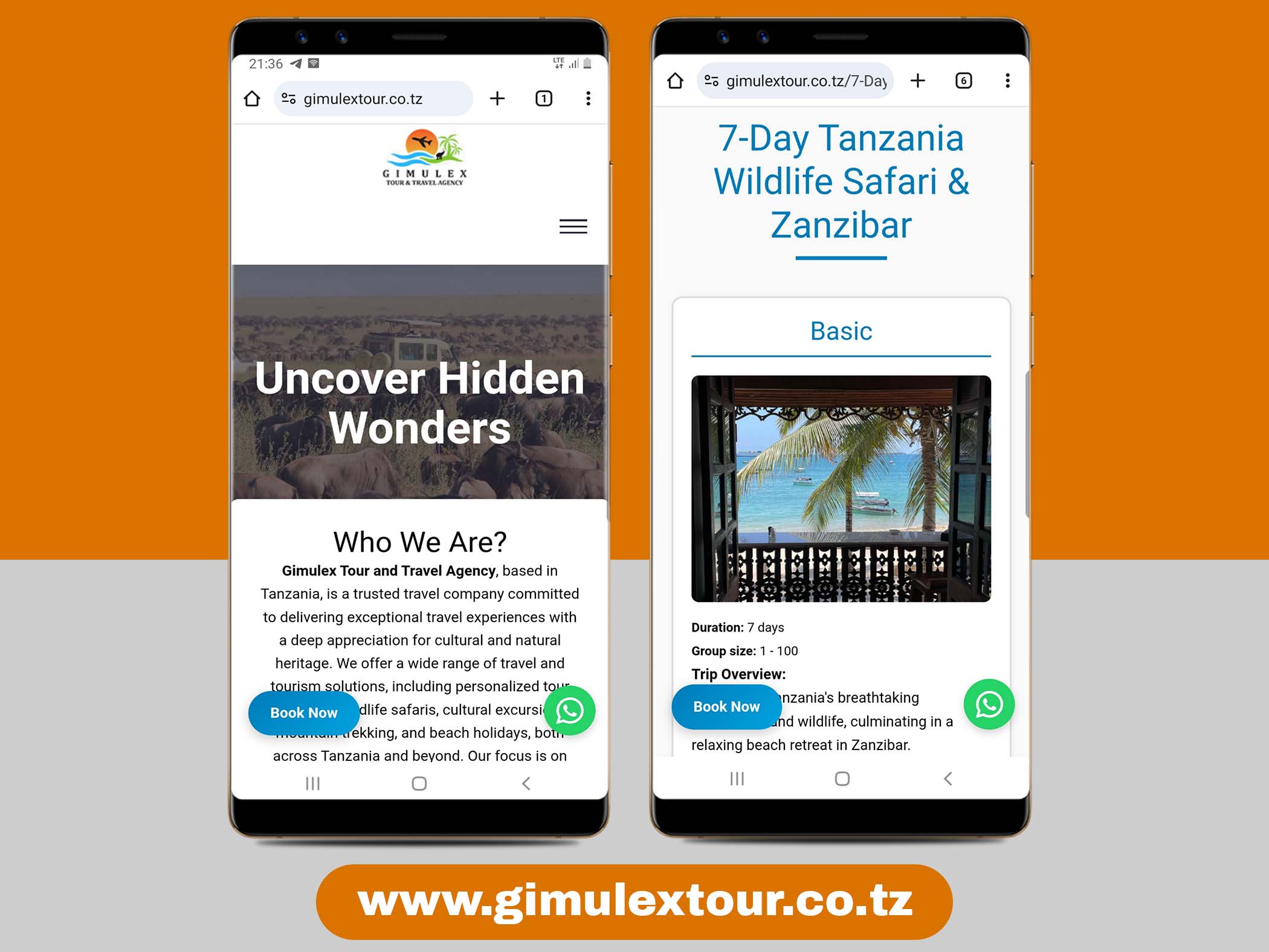 Website Preview